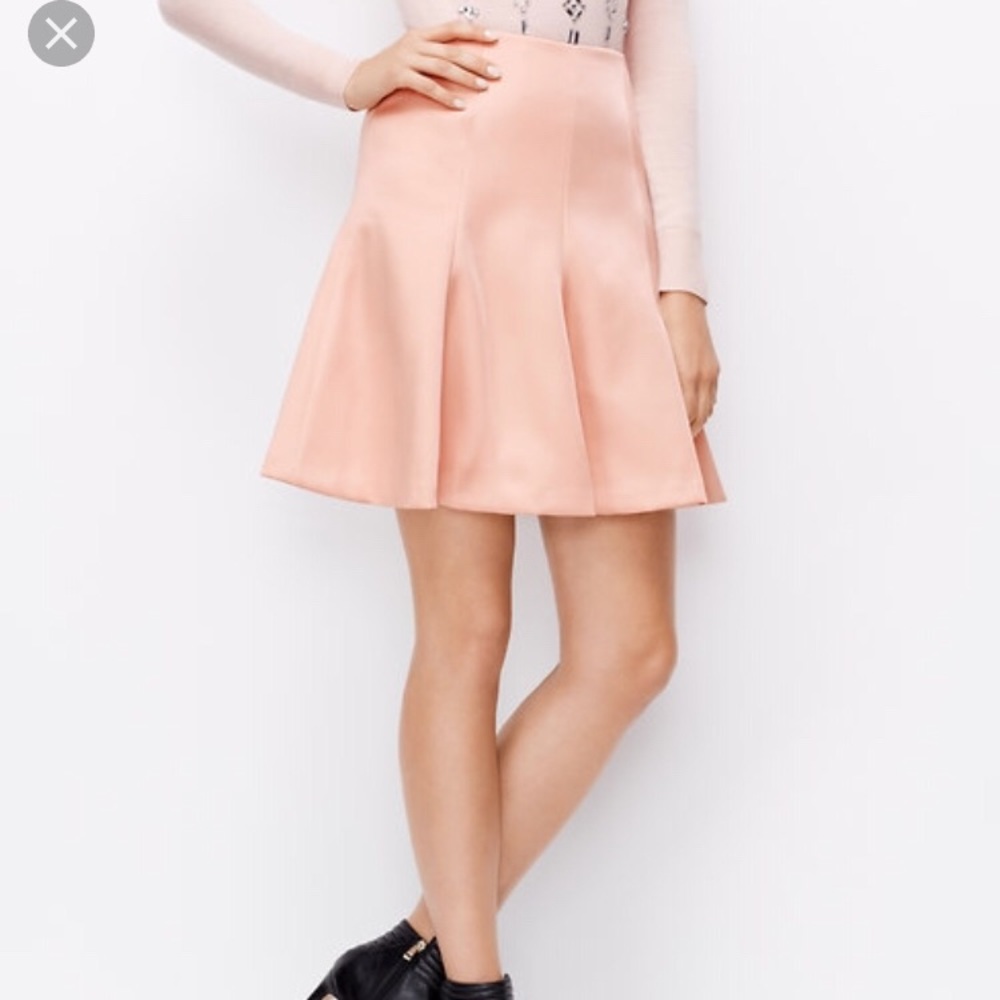 Stunning Brand New Ann Taylor skirt